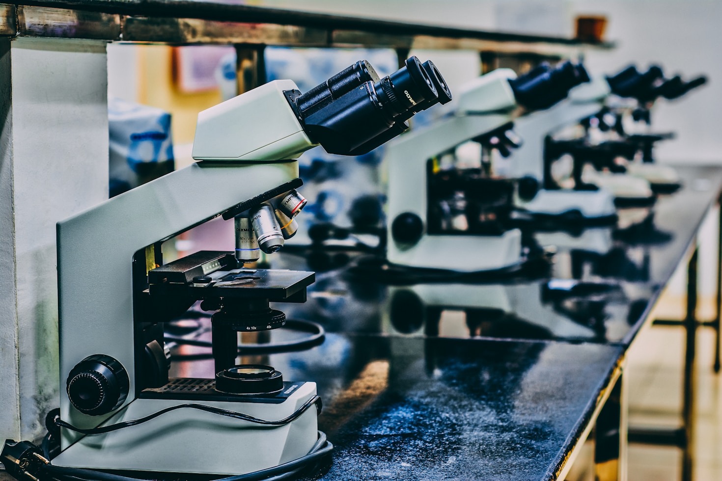 Cómo empezar en el mundo de la ciencia